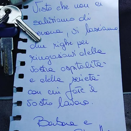 Allipatuli *