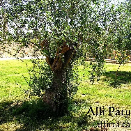 Allipatuli Gallipoli